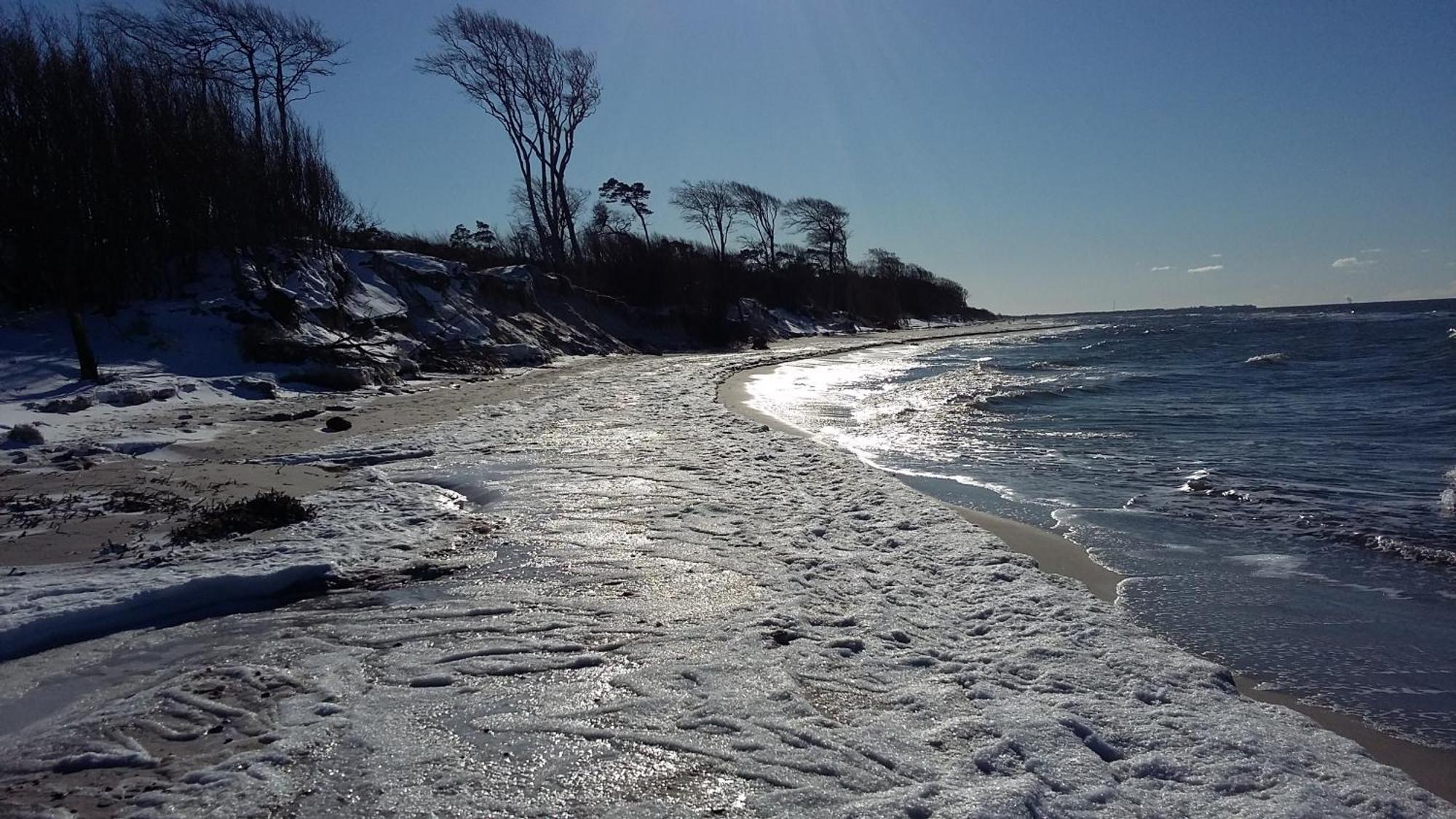 *Strandaster* In Zingst - 100 M Bis Strand, Ruhig, Zentral. Exterior photo